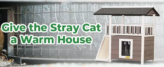 The Cat House Offered by Coziwow