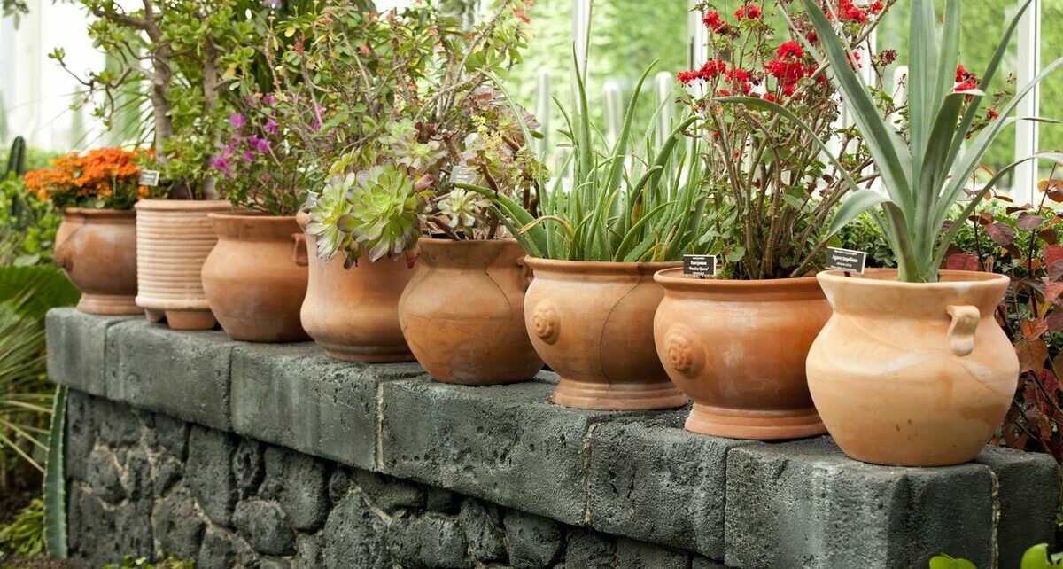 Ceramic Pots