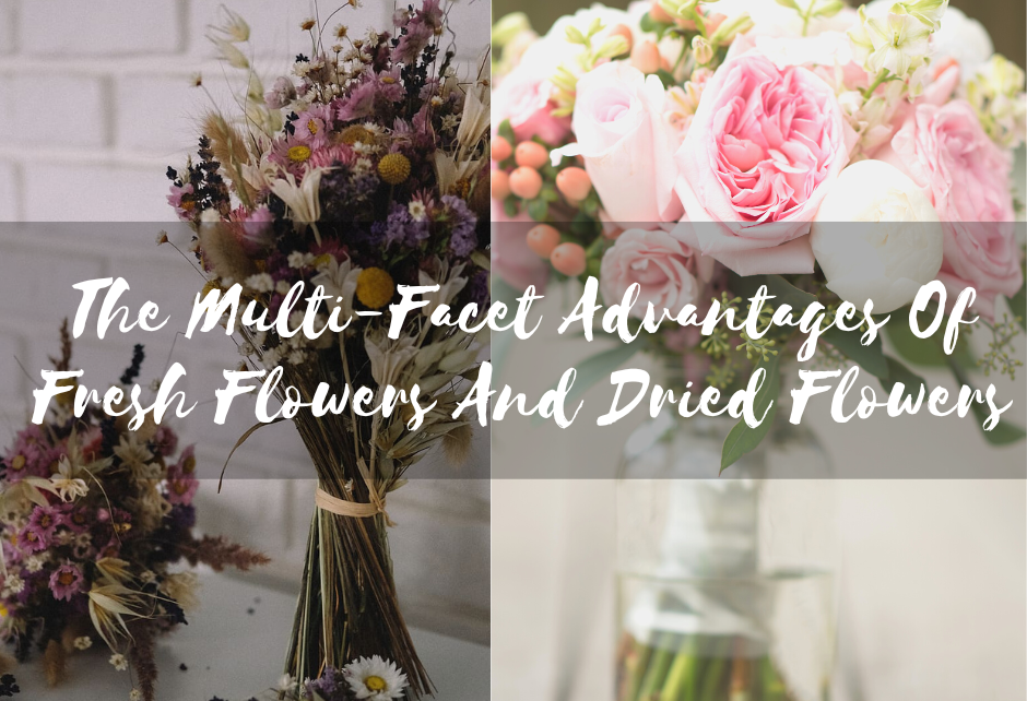 The Multi-Facet Advantages Of Fresh Flowers And Dried Flowers