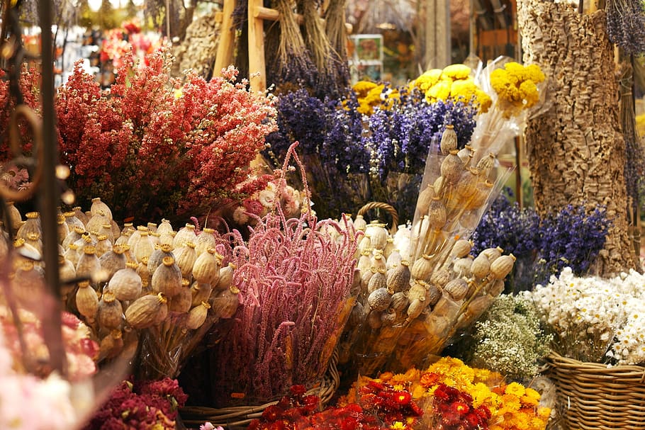 Dried Flower Bouquet