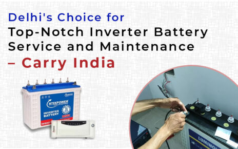 Delhi’s Choice for Top- Notch Inverter Battery Service and Maintenance