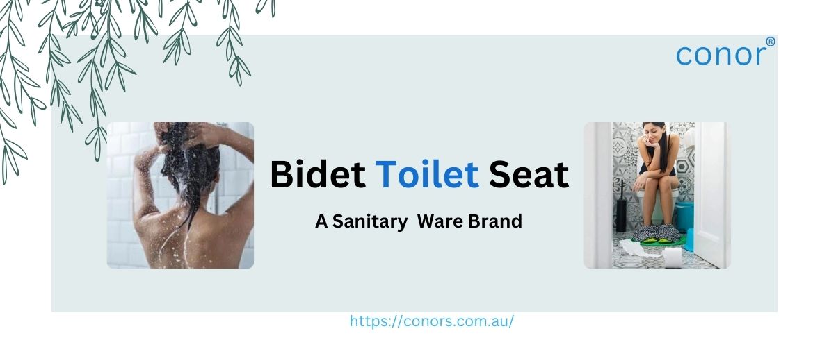 bidet toilet seat