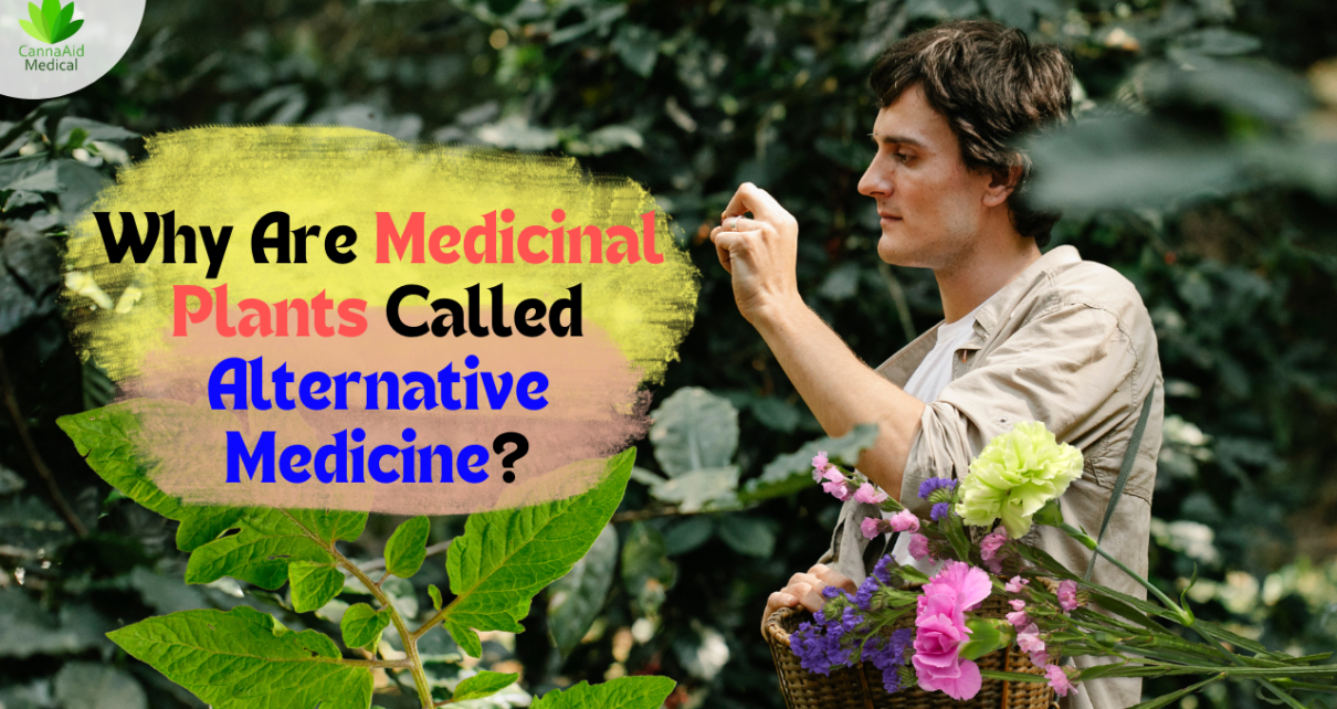 Why Are Medicinal Plants Called Alternative Medicine