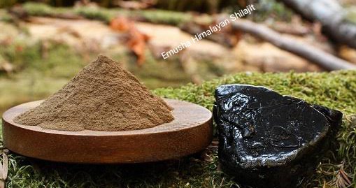 himalayan shilajit