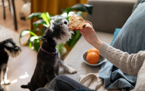 Unlocking the Benefits of Following a Nutritious Diet for Pets